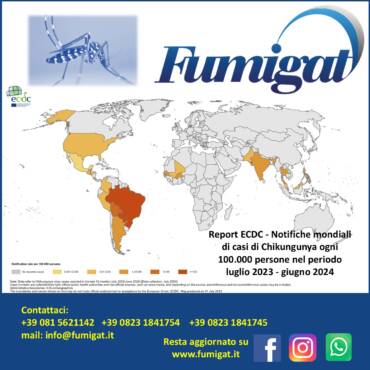 Zanzare portatrici di Chikungunya, l’importanza della prevenzione