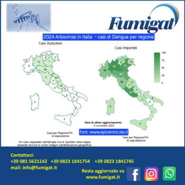 Il 2024, un anno segnato dalla Dengue… anche in Italia